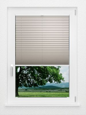 Preview LYSEL HOME Plissee 128A Aralia 1