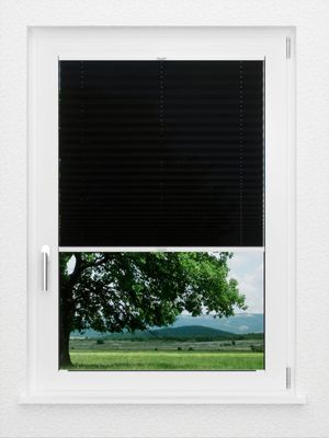 Preview LYSEL HOME Plissee 138A Aralia 1