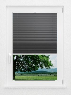 Preview LYSEL HOME Plissee 233A Aralia 1