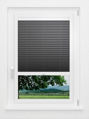 Preview LYSEL HOME Plissee 233A Aralia 1