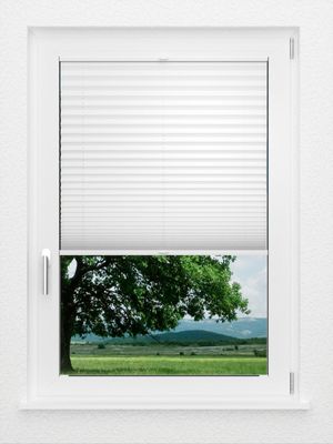 Preview LYSEL HOME Plissee 209A Aralia Pearl 1