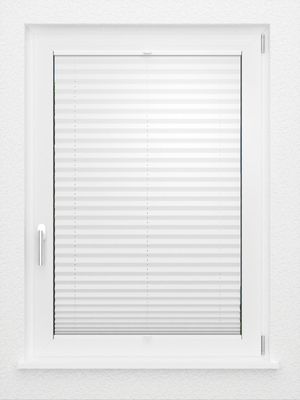 Preview LYSEL HOME Plissee 209A Aralia Pearl 2