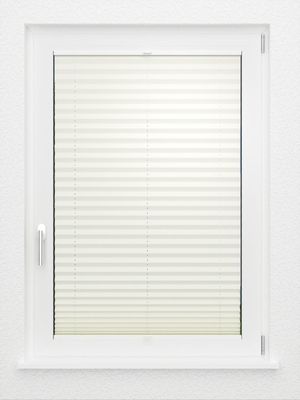 Preview LYSEL HOME Plissee 140A Aralia Pearl 2