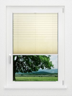 Preview LYSEL HOME Plissee 107A Erinus 1