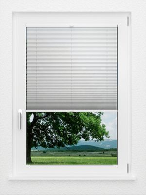 Preview LYSEL HOME Plissee 106A Erinus 1