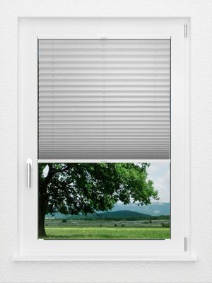 Preview LYSEL HOME Plissee 239A Abelia Pearl 1