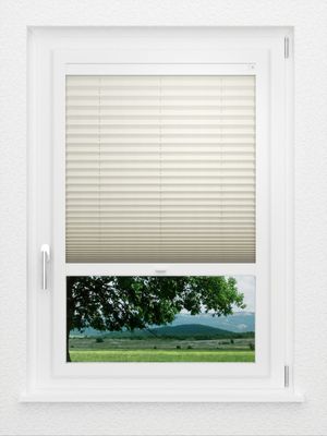 Preview LYSEL HOME Plissee 122A Pinus BO 1