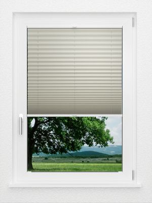 Preview LYSEL HOME Plissee 114A Pinus BO 1