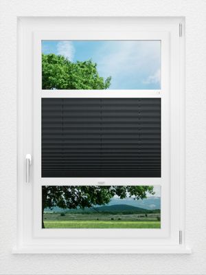 Preview LYSEL HOME Plissee 116A Pinus BO 0