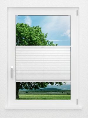 Preview LYSEL HOME Plissee 204A Arum 0