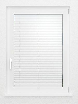 Preview LYSEL HOME Plissee 204A Arum 2