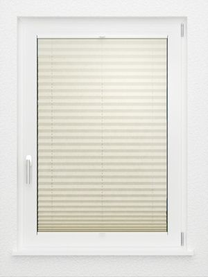 Preview LYSEL HOME Plissee 231A Arum 2