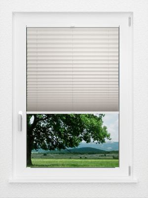 Preview LYSEL HOME Plissee 213A Betula BO 1