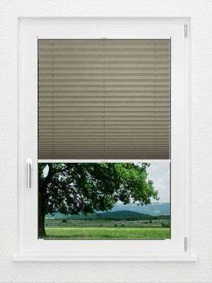 Preview LYSEL HOME Plissee 134A Betula BO 1