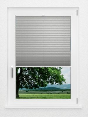 Preview LYSEL HOME Plissee 217A Betula BO 1