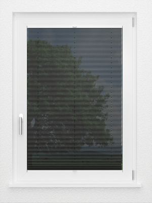 Preview LYSEL HOME Plissee 139A Calluna 2