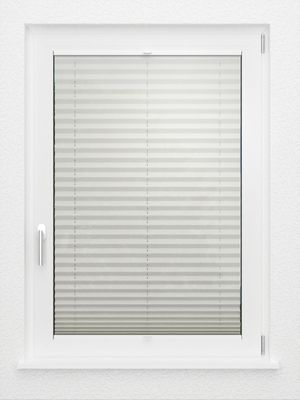 Preview LYSEL HOME Plissee 305A Arabis 2