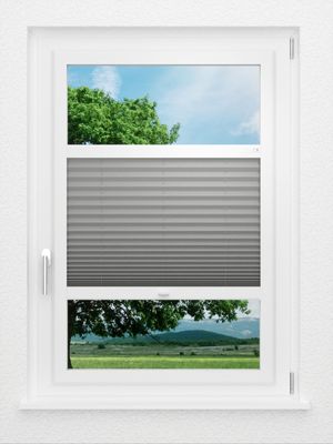 Preview LYSEL HOME Plissee 309A Aloe 0