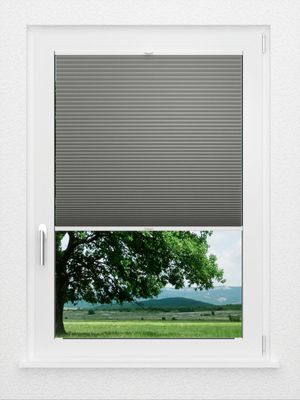 Preview LYSEL HOME Plissee 002A Nana BO Wabe 1