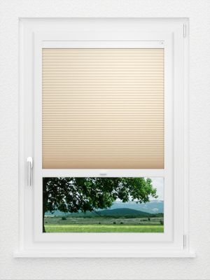 Preview LYSEL HOME Plissee 035A Alba LI Wabe 1