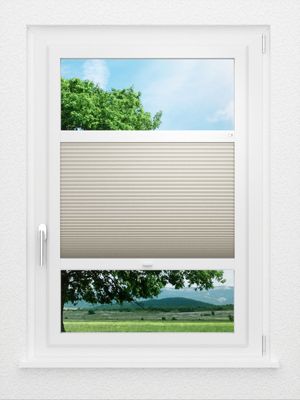 Preview LYSEL HOME Plissee 009A Calluna Wabe 0