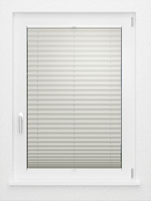 Preview LYSEL HOME Plissee 21B Aralia Pearl 2