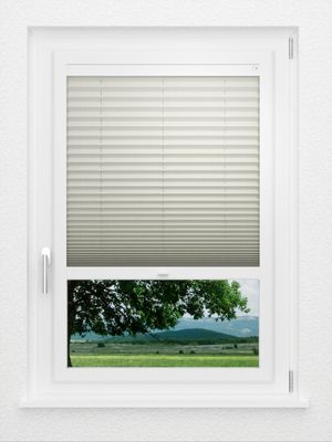 Preview LYSEL HOME Plissee 21B Aralia Pearl 1