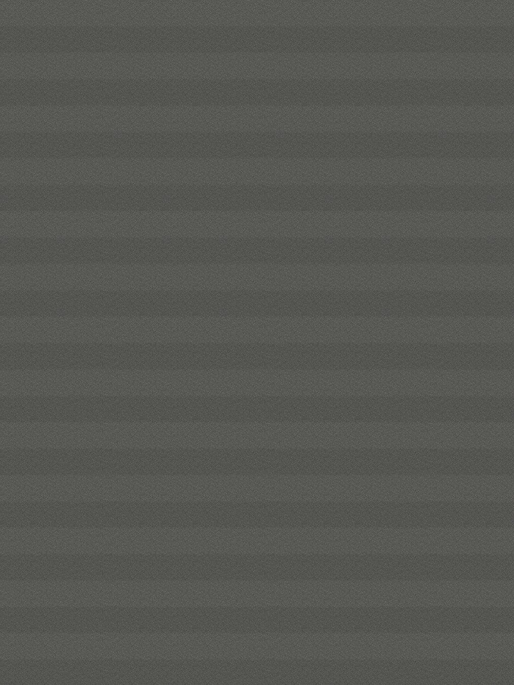 Detailansicht LYSEL HOME Plissee 202A Aralia BO