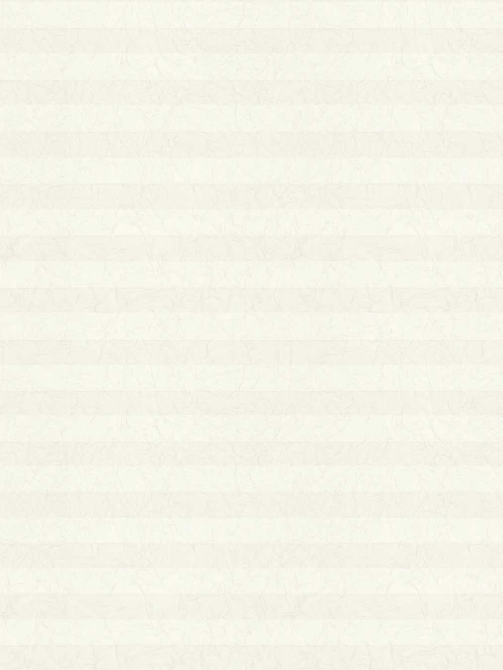 Detailansicht LYSEL HOME Plissee 108A Erinus