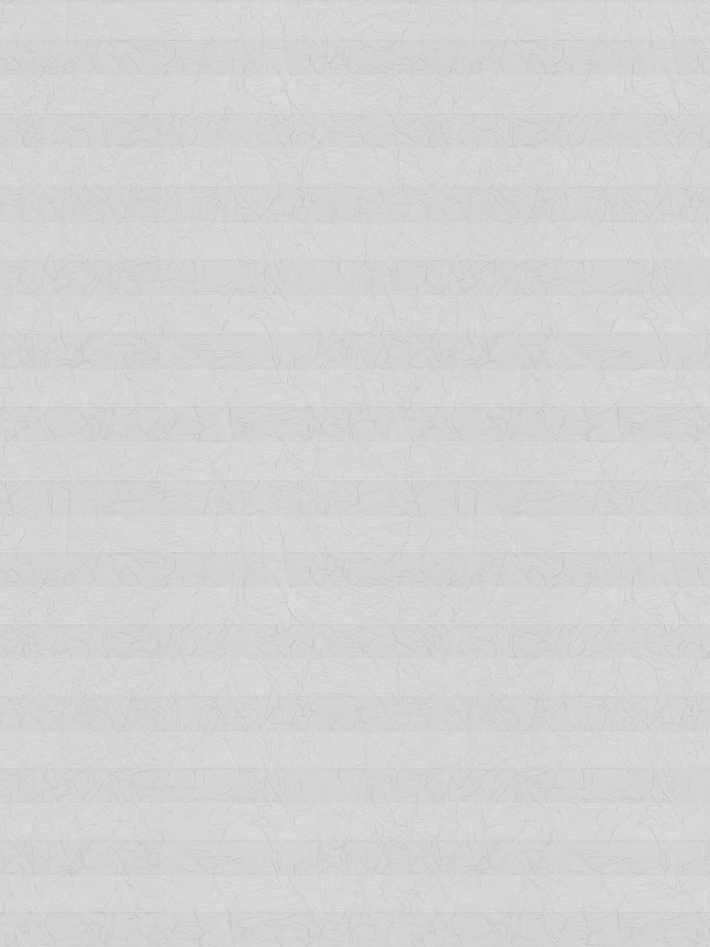 Detailansicht LYSEL HOME Plissee 106A Erinus