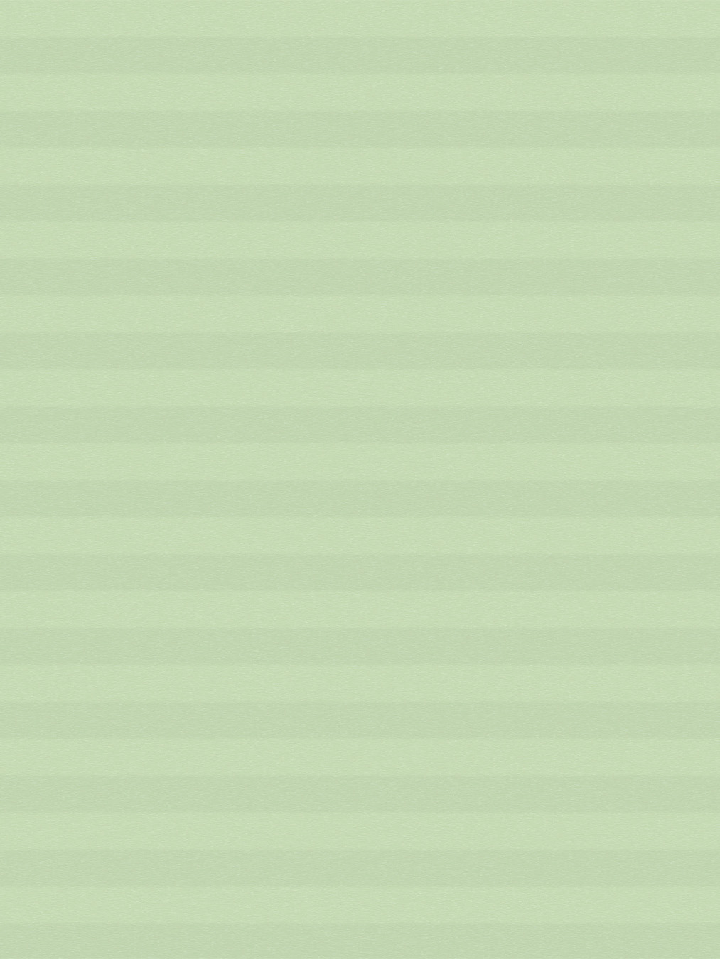 Detailansicht LYSEL HOME Plissee 021A Nana BO Wabe