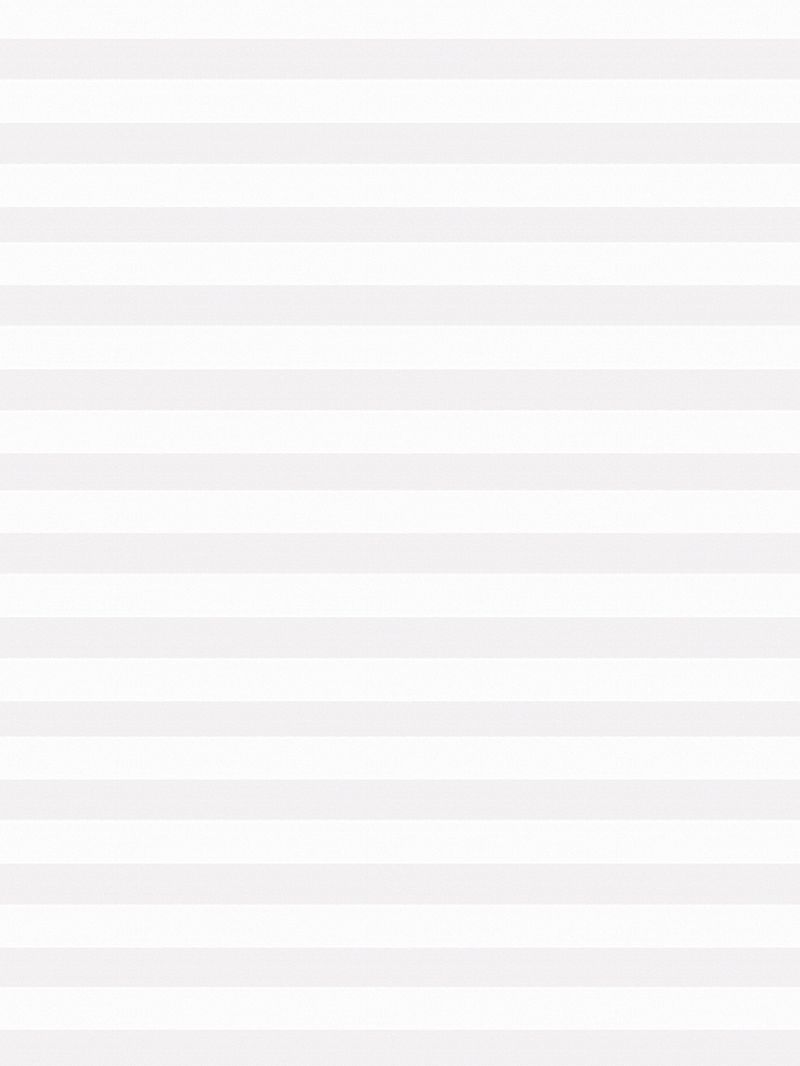 Preview LYSEL HOME Plissee 205A Aralia 3
