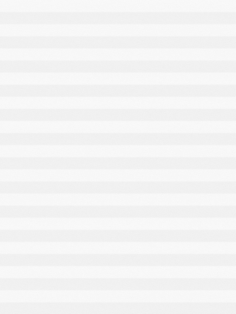 Preview LYSEL HOME Plissee 209A Aralia Pearl 3