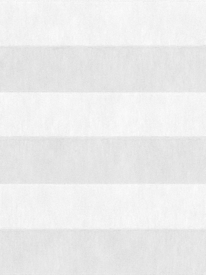 Preview LYSEL HOME Plissee 204A Arum 4