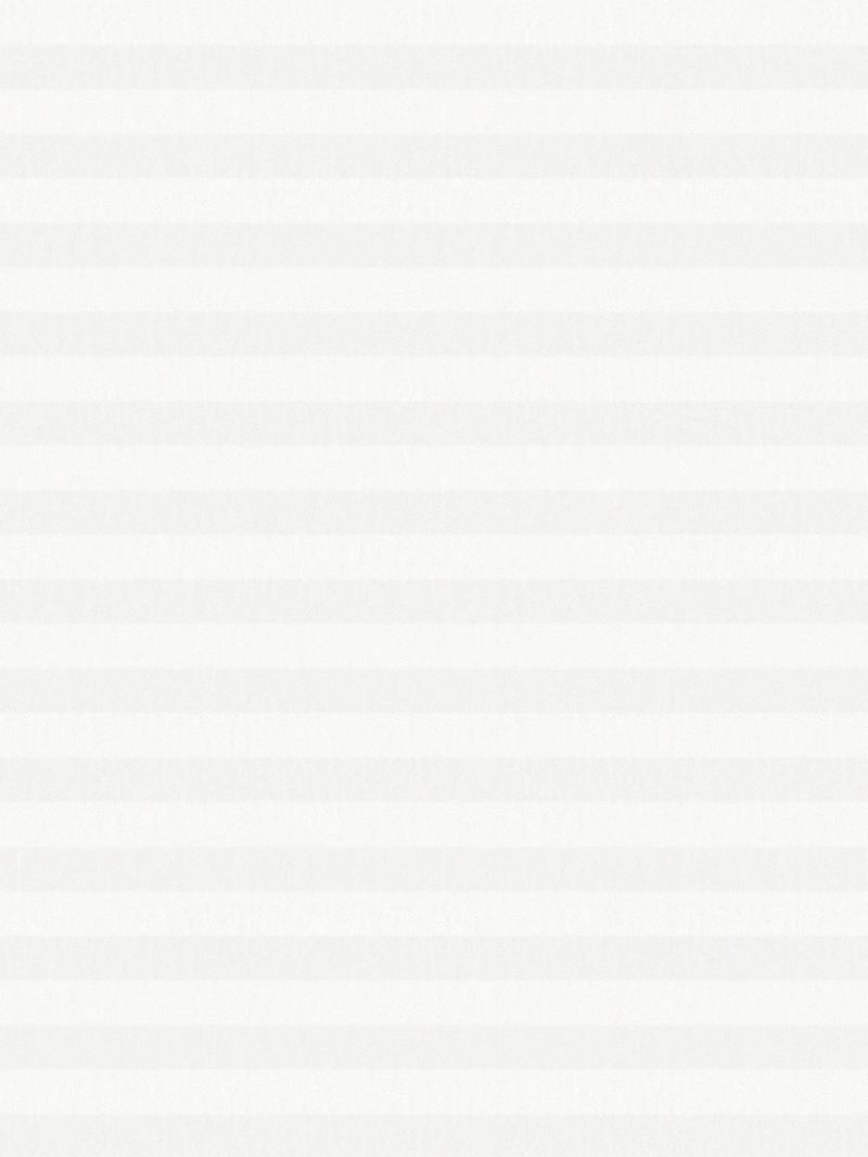 Preview LYSEL HOME Plissee 204A Arum 3