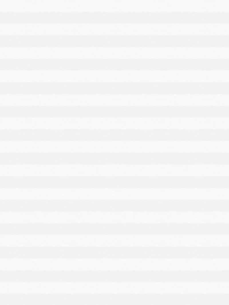 Preview LYSEL HOME Plissee 005A Nana BO Wabe 4