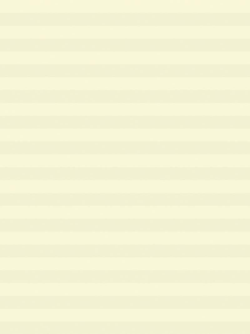 Preview LYSEL HOME Plissee 016A Nana BO Wabe 4