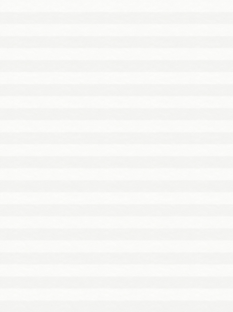 Preview LYSEL HOME Plissee 004A Alba LI Wabe 3