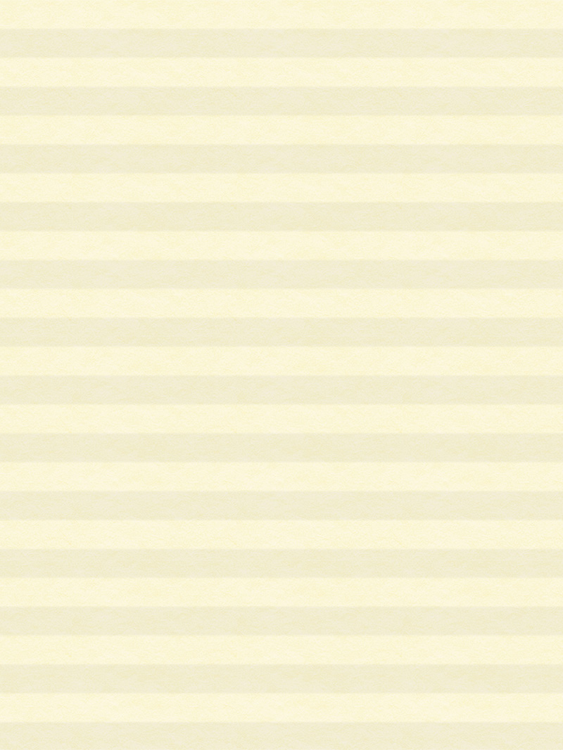 Preview LYSEL HOME Plissee 014A Alba LI Wabe 3