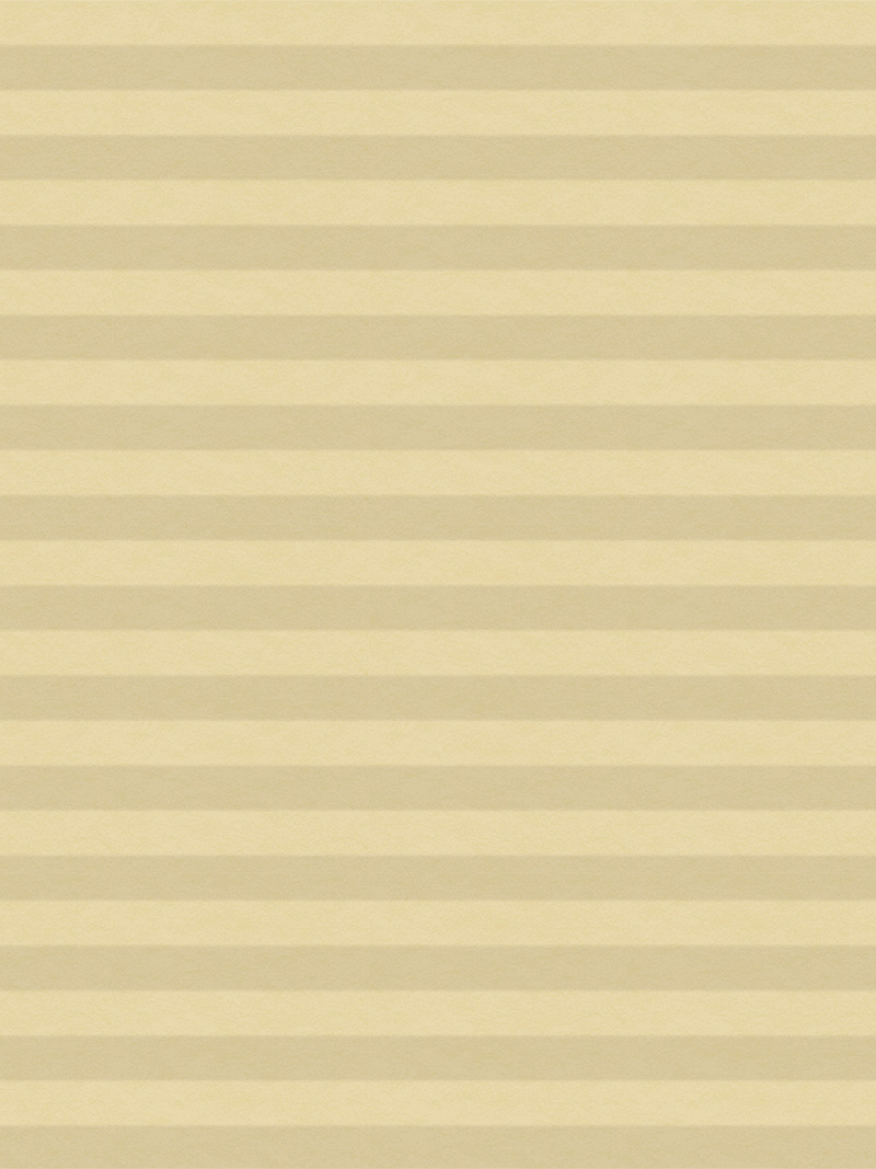 Preview LYSEL HOME Plissee 031A Alba LI Wabe 3