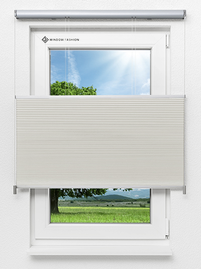 Tender Comb BO 9301.3631 Fensteransicht