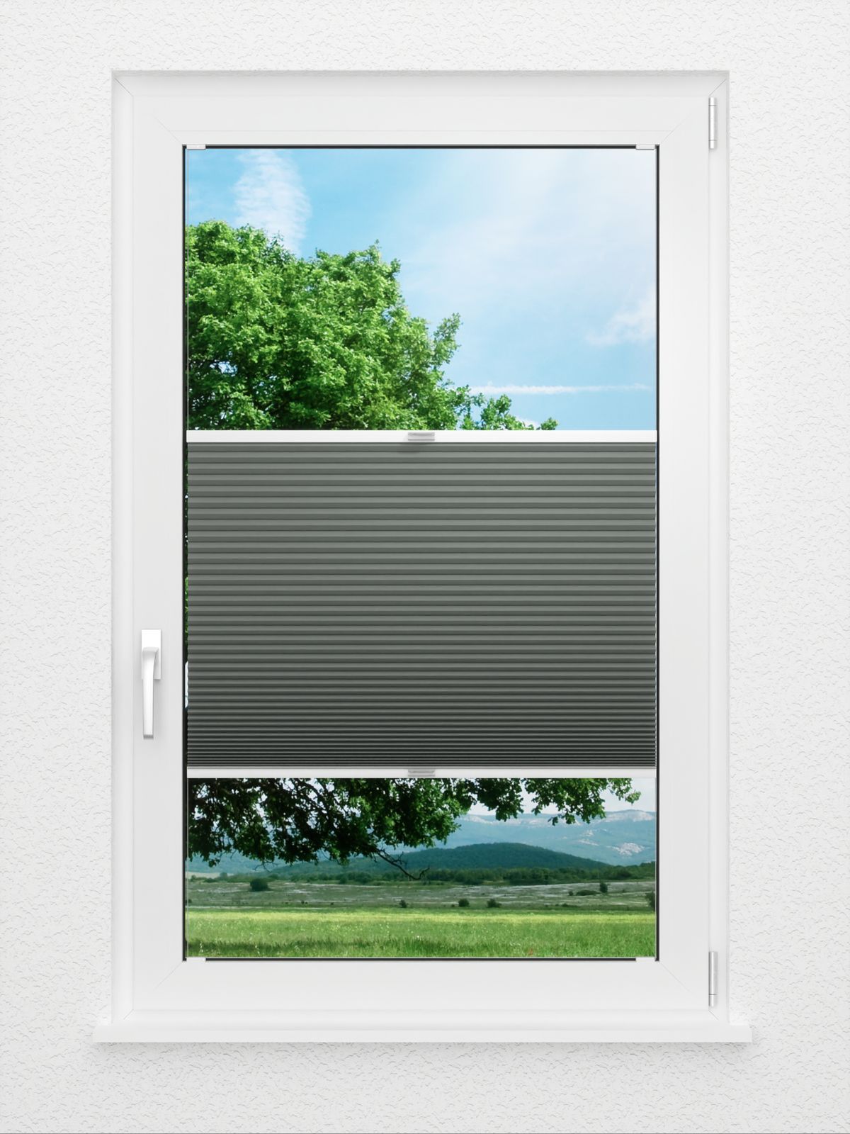 Detailansicht Simple Comb SC 7109.3605