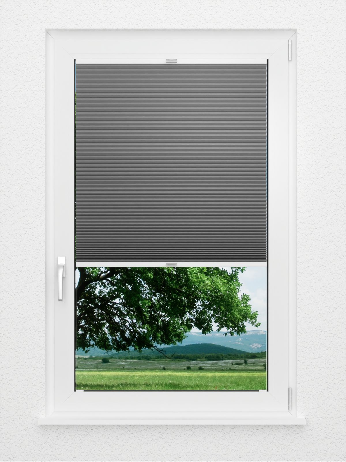 Detailansicht Simple Comb SC 7109.3609