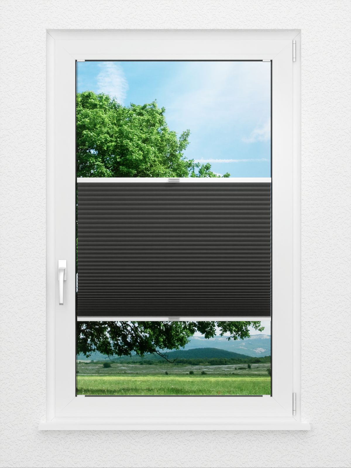 Detailansicht Tender Comb BO 9309.3636