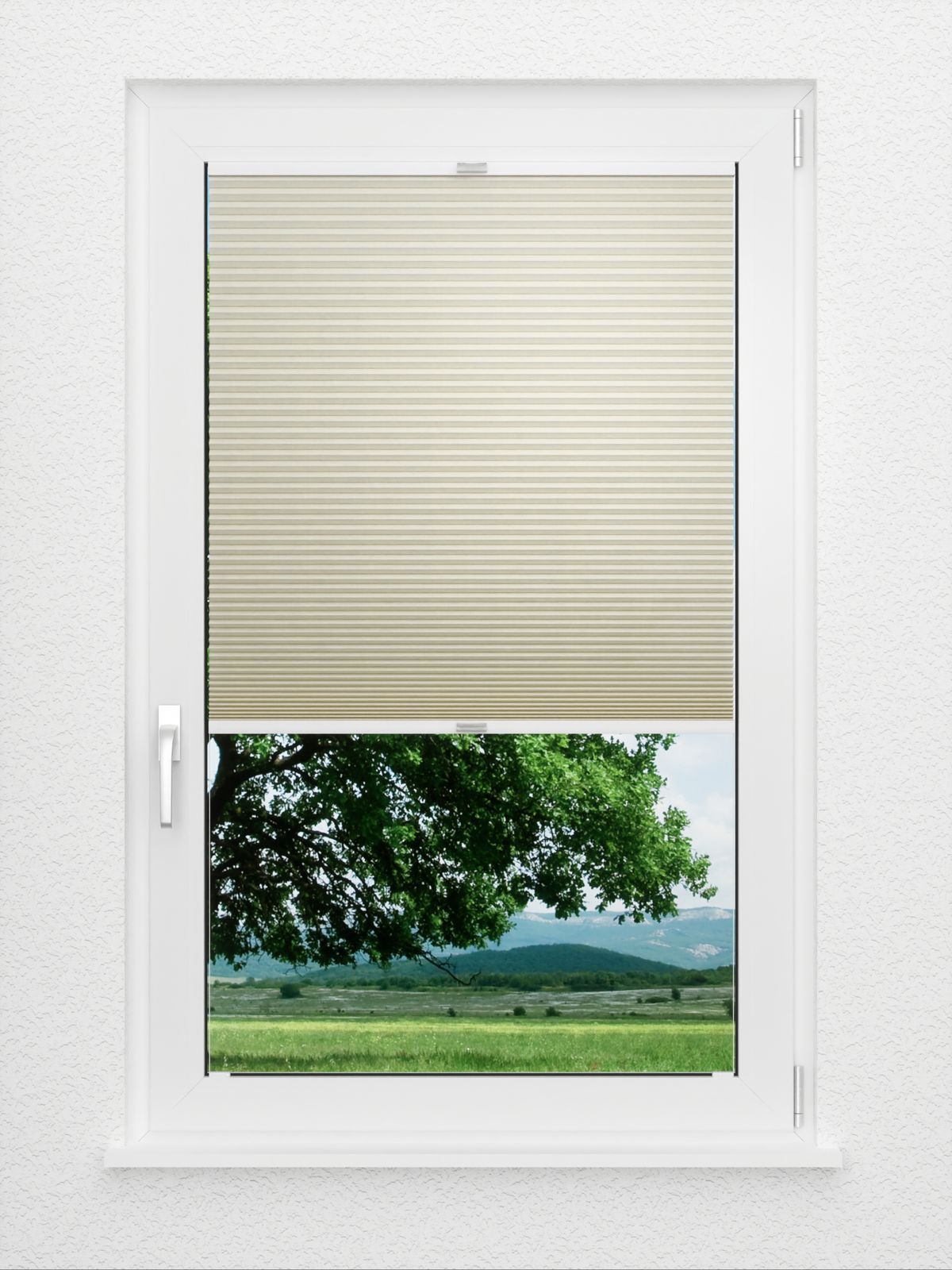 Detailansicht Bumby Comb LI 3201.3580