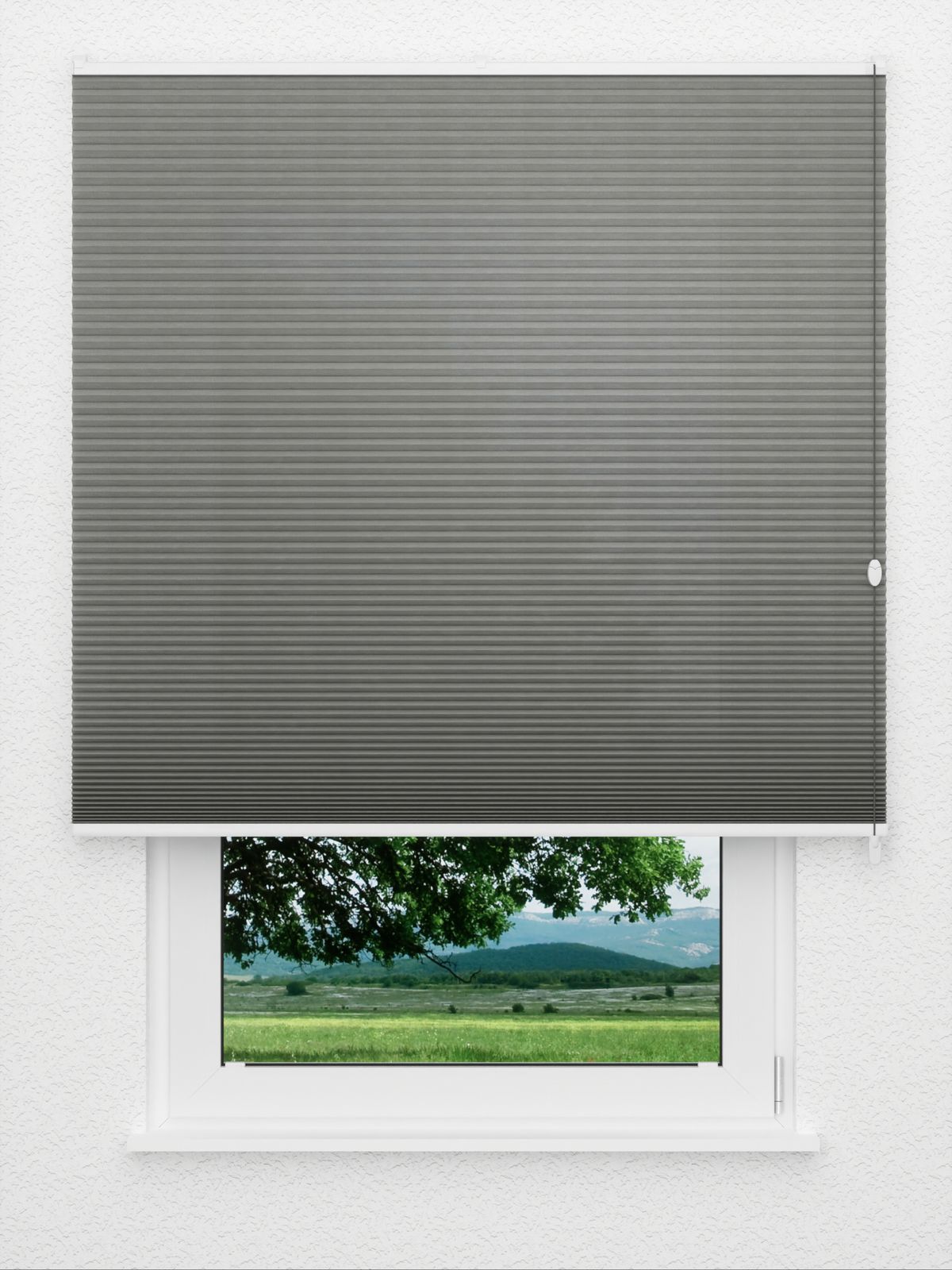 Detailansicht Bumby Comb LI 3609.3584