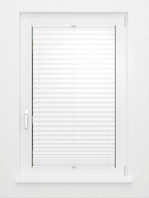 Preview Plissee Blackout BO 01.0101 3