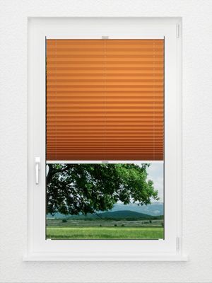 Preview Plissee Krepp B1 22.0201 2