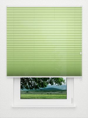 Plissee Krepp B1 15.0206 Fensteransicht