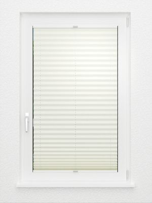 Preview Plissee Krepp B1 18.0208 3